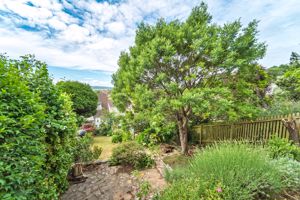 Photo 29- click for photo gallery